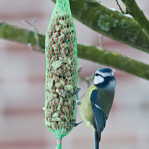 20090108 5091 [D300]   F5,6 300,00mm