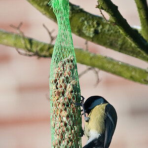 20090110 5386 [D300]   F5,6 300,00mm