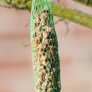 20090110 5400 [D300]   F7,1 420,00mm