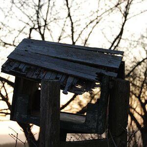 Vogelhaus in der Dämmerung