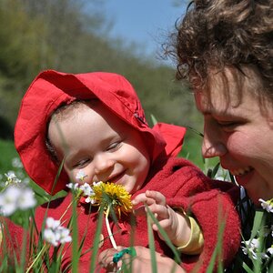 erster Frühling