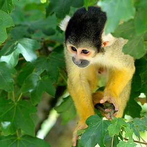 SC 1892 1 bearbeitet klein