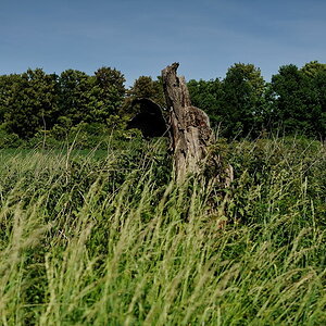 DSC 6356