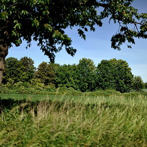 DSC 6363