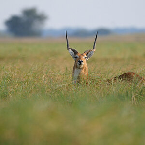 D300 DSC1549 NFF
