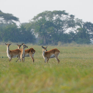 D300 DSC11598 NFF