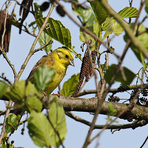 20110507 1675 [NIKON D5100] 850 mm,1 400 Sek. bei ƒ   8,0
