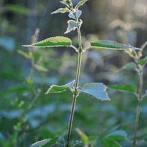 DSC 1758 800