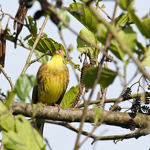 20110507 1724 [NIKON D5100] 850 mm,1 320 Sek. bei ƒ   8,0