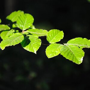 DSC 1764 800
