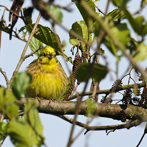 20110507 1742 [NIKON D5100] 850 mm,1 400 Sek. bei ƒ   7,1