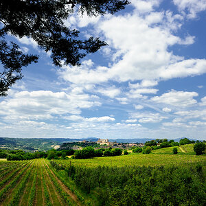 Blick auf Orvieto
