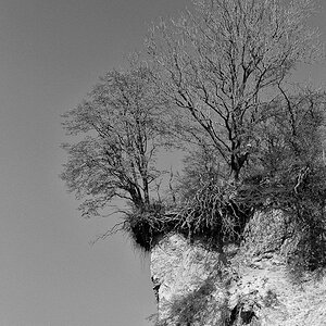 20110425 DSC 7450 Bearbeitet