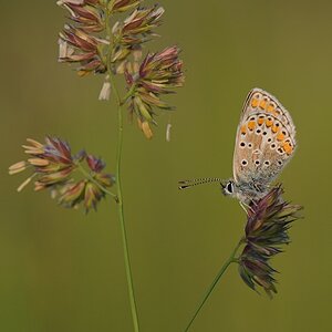 DSC 7348