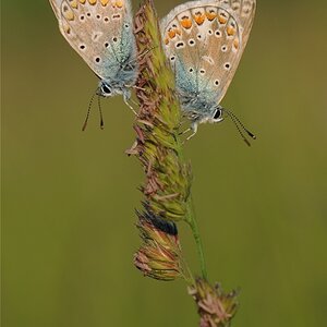 DSC 7370
