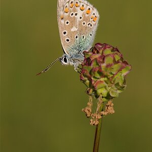 DSC 7407
