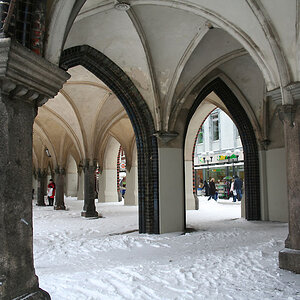 IMG 0255a