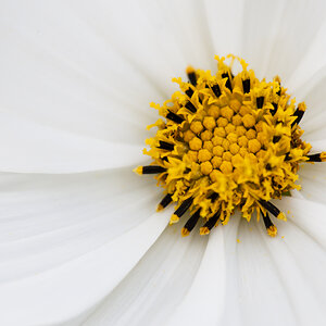 DSC 0346