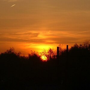 DSCF0185