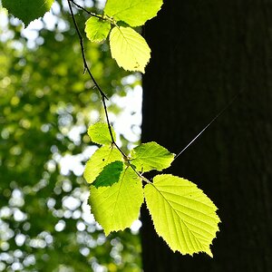 Leuchten