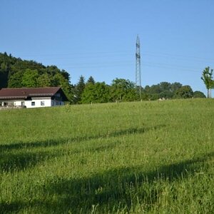 DSC 0394