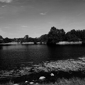 TegelerFließ KöppchenSee 0052 110601 SW 1024x685 90