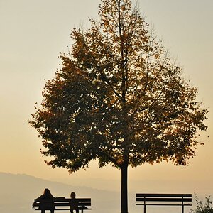Herbstimpressionen