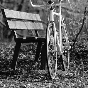 Speedy B/W