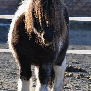 K: D90, 50-150, 120mm, F5, 1/250, ISO250, -0,3, Mittenbetont, A