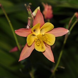 DSC 4736