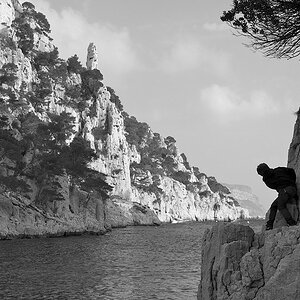 cassis