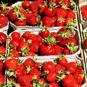 Erdbeeren