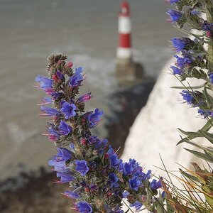 Beachy Head