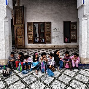 forum kiddies marra