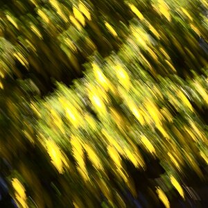 NFF GH8J0694
Drittes Testbild - WÄÄÄÄÄÄÄH!!!!!!!!!!!!!!!!