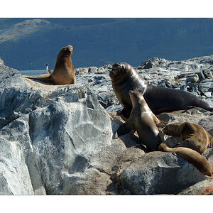 Ushuaia
