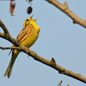20110510 2106 [NIKON D5100] 850 mm,1 400 Sek. bei ƒ   6,3