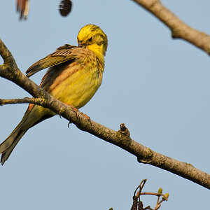 20110510 2136 [NIKON D5100] 850 mm,1 400 Sek. bei ƒ   6,3