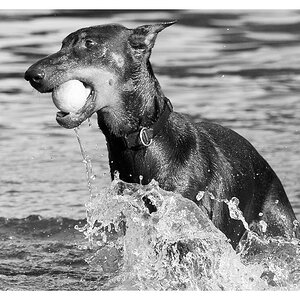 wasserspiele 2