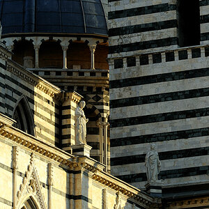 Duomo Siena