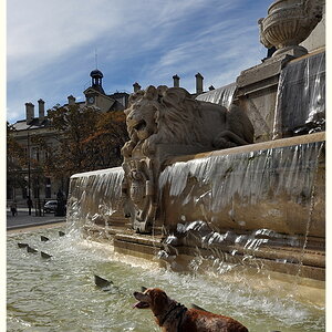 Paris 10 10 DSD 0753 klein