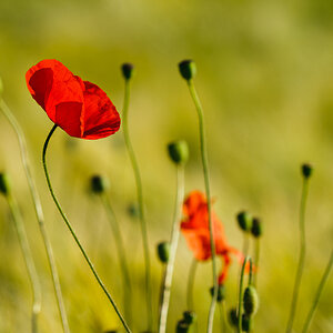 2011 06 04 09 03 30 1