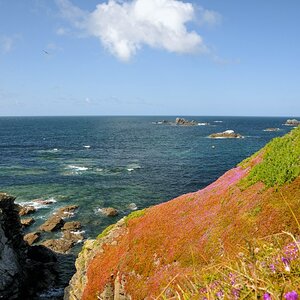 Lizard Point (Cornwall)