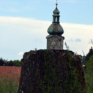 Uhriger Baum