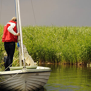 Segelbootkontrast