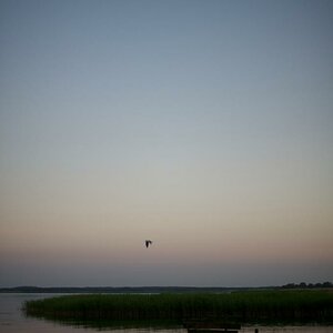 20110610 0181