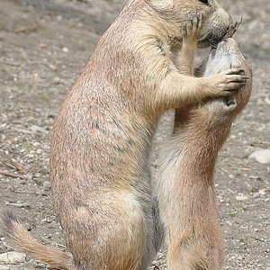 Zoobesuch