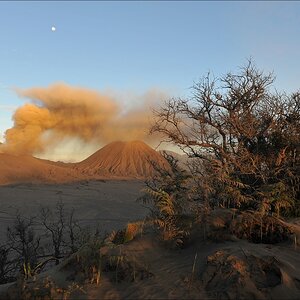 acomp indonesia 20110618 16610