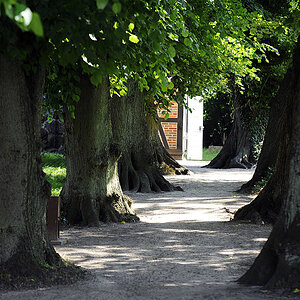 Kirchenallee