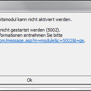 GTA IV Fehler 502 Kopie